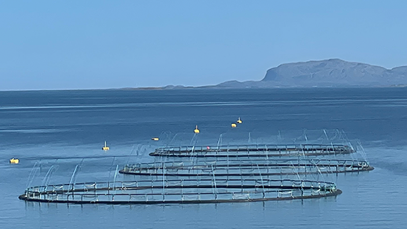 Fiskeppdrettsannlegg i havet